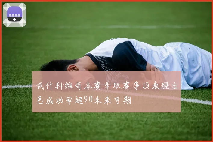 武什科维奇本赛季联赛争顶表现出色成功率超90未来可期
