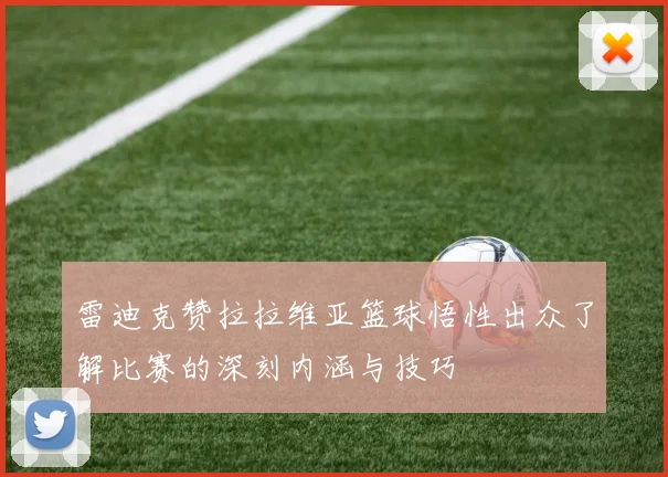 雷迪克赞拉拉维亚篮球悟性出众了解比赛的深刻内涵与技巧